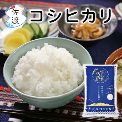 佐渡島産コシヒカリ 無洗米15kg(5kg×3袋) 特別栽培米 令和7年産【食の宝島佐渡】