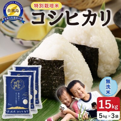 【新米】令和8年産 佐渡島産コシヒカリ 無洗米15kg 特別栽培米【食の宝島佐渡】