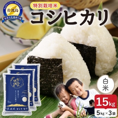 【新米】令和8年産 佐渡島産コシヒカリ 白米15kg 特別栽培米【食の宝島佐渡】