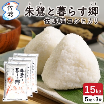 佐渡島産コシヒカリ「朱鷺と暮らす郷」無洗米15kg(5kg×3袋) 令和7年産 特別栽培米