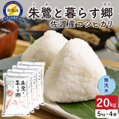 【新米】令和8年産 佐渡島産 朱鷺と暮らす郷(コシヒカリ) 無洗米20kg 特別栽培【食の宝島佐渡】