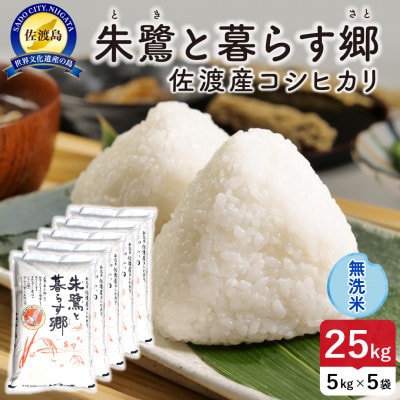 【新米】令和8年産 佐渡島産 朱鷺と暮らす郷(コシヒカリ) 無洗米25kg 特別栽培【食の宝島佐渡】