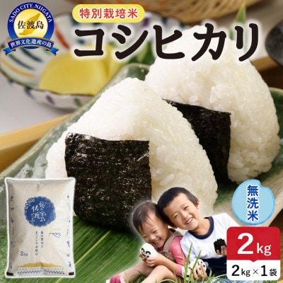 【新米】令和8年産 佐渡島産コシヒカリ 無洗米2kg 特別栽培米【食の宝島佐渡】