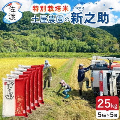 佐渡島産新之助 無洗米25kg 土屋農園 栽培期間中農薬・化学肥料5割減 令和7年産【食の宝島佐渡】