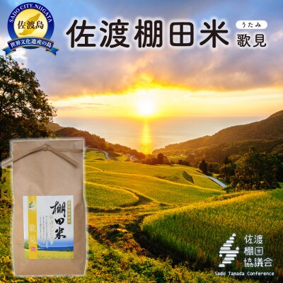 佐渡島産コシヒカリ 歌見棚田米 白米2kg(2kg×1袋)【令和7年産】精米