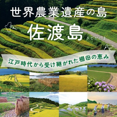 佐渡島産コシヒカリ 歌見棚田米 白米2kg(2kg×1袋)【令和7年産】精米
