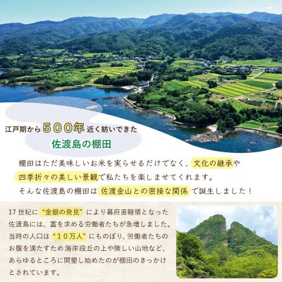 佐渡島産コシヒカリ 歌見棚田米 白米2kg(2kg×1袋)【令和7年産】精米