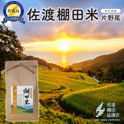 佐渡島産コシヒカリ 片野尾棚田米 白米2kg(2kg×1袋)【令和7年産】精米