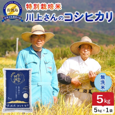 【新米】令和8年産 佐渡島産川上さんのコシヒカリ 無洗米5kg 特別栽培米