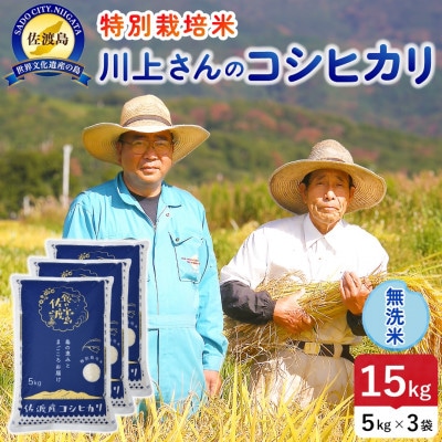 【新米】令和8年産 佐渡島産川上さんのコシヒカリ 無洗米15kg 特別栽培米