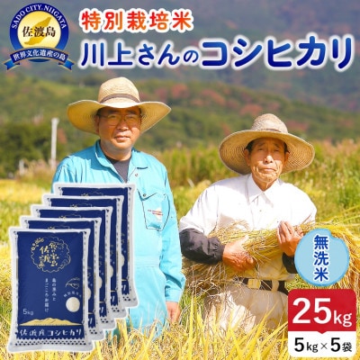 【新米】令和8年産 佐渡島産川上さんのコシヒカリ 無洗米25kg 特別栽培米
