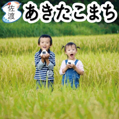 佐渡島産あきたこまち 白米10kg(5kg×2袋)令和7年産 【食の宝島佐渡】