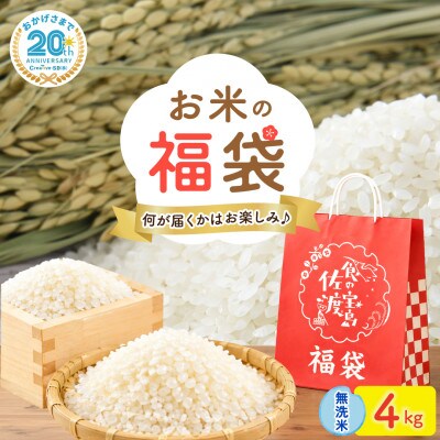 【20周年記念】お米の福袋|無洗米4kg 令和7年産 (佐渡産コシヒカリ確定+食べ比べセット)
