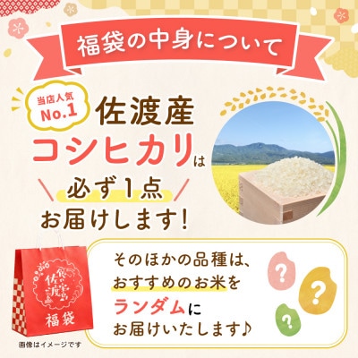 【20周年記念】お米の福袋|無洗米6kg 令和7年産 (佐渡産コシヒカリ確定+食べ比べセット )