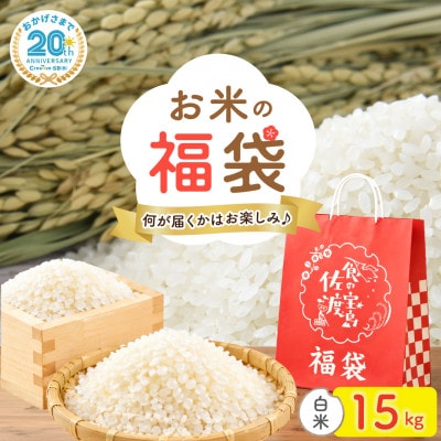 【20周年記念】お米の福袋|精米15kg 令和7年産 (佐渡産コシヒカリ確定+食べ比べセット)