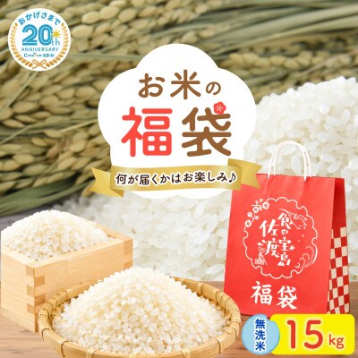 【20周年記念】お米の福袋|無洗米15kg 令和7年産 (佐渡産コシヒカリ確定+食べ比べセット )