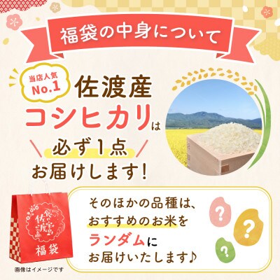 【20周年記念】お米の福袋|無洗米15kg 令和7年産 (佐渡産コシヒカリ確定+食べ比べセット )
