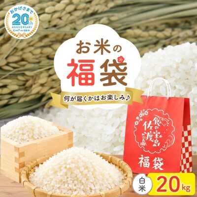 【20周年記念】お米の福袋|精米20kg 令和7年産 (佐渡産コシヒカリ確定+食べ比べセット)