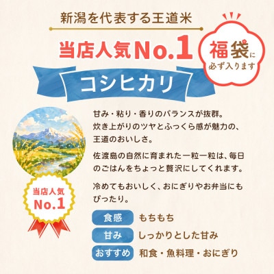 【20周年記念】お米の福袋|精米20kg 令和7年産 (佐渡産コシヒカリ確定+食べ比べセット)