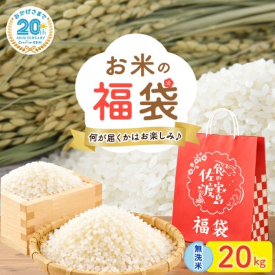 【20周年記念】お米の福袋|無洗米20kg 令和7年産 (佐渡産コシヒカリ確定+食べ比べセット)