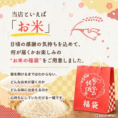 【20周年記念】お米の福袋|無洗米20kg 令和7年産 (佐渡産コシヒカリ確定+食べ比べセット)