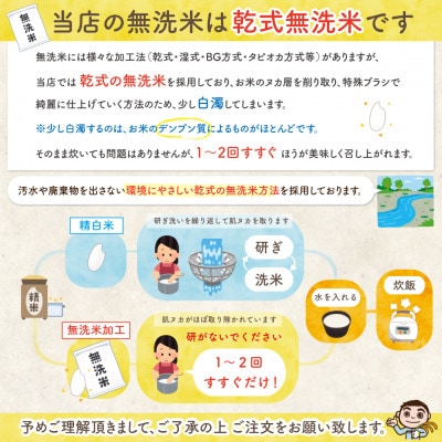 【新米予約】令和8年産 佐渡島産ゆきん子舞 無洗米2kg 栽培期間中農薬5割減 【食の宝島佐渡】
