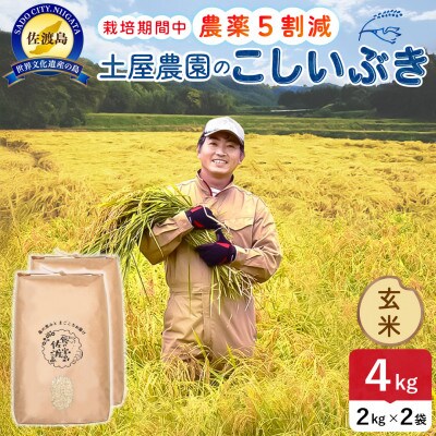 【新米予約】令和8年産 佐渡島産こしいぶき 玄米4kg 土屋農園 農家直送 栽培期間中農薬5割減