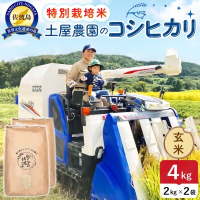 【新米予約】令和8年産 佐渡島産コシヒカリ 玄米4kg 土屋農園 農家直送 特別栽培米