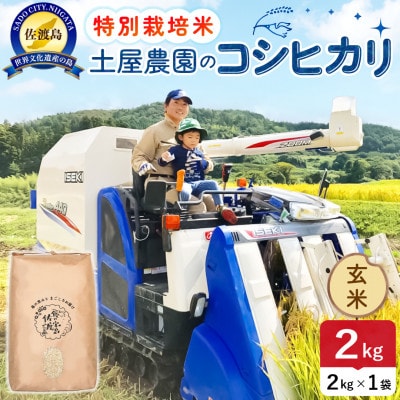 【新米予約】令和8年産 佐渡島産コシヒカリ 玄米2kg 土屋農園 農家直送 特別栽培米