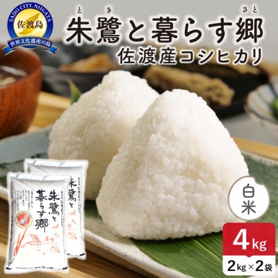 【新米予約】令和8年産 佐渡島産 朱鷺と暮らす郷(コシヒカリ) 白米4kg 特別栽培米