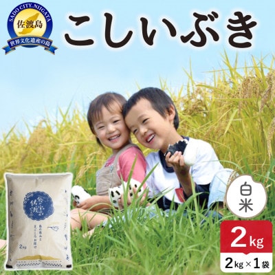 令和7年産 佐渡島産こしいぶき 白米2kg【食の宝島佐渡】