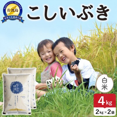 令和7年産 佐渡島産こしいぶき 白米4kg【食の宝島佐渡】