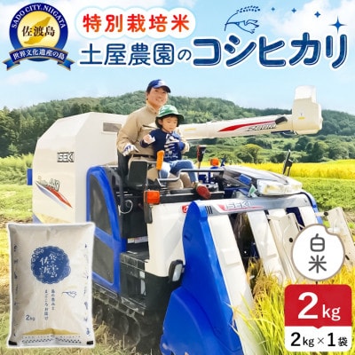令和7年産 佐渡島産コシヒカリ 白米2kg 土屋農園 農家直送 特別栽培米