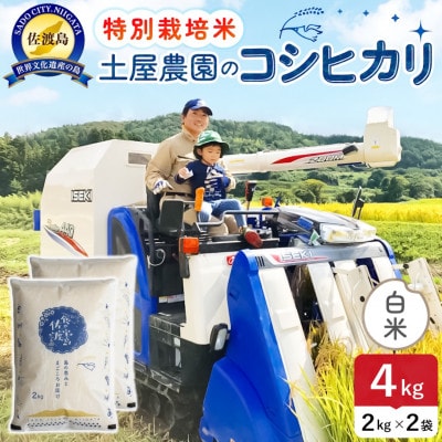 令和7年産 佐渡島産コシヒカリ 白米4kg 土屋農園 農家直送 特別栽培米