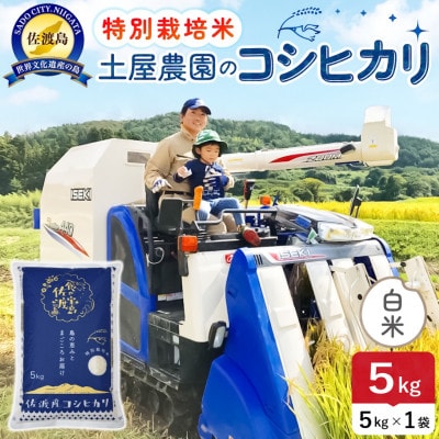 令和7年産 佐渡島産コシヒカリ 白米5kg 土屋農園 農家直送 特別栽培米