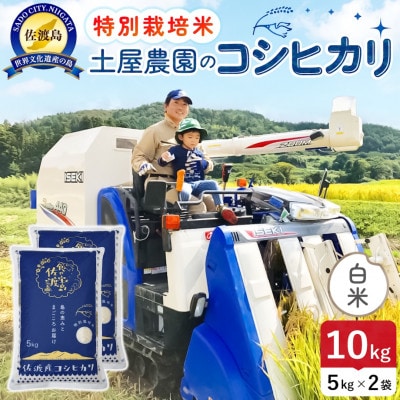 令和7年産 佐渡島産コシヒカリ 白米10kg 土屋農園 農家直送 特別栽培米