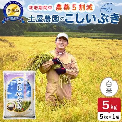 令和7年産 佐渡島産こしいぶき 白米5kg 土屋農園 農家直送 栽培期間中農薬5割減