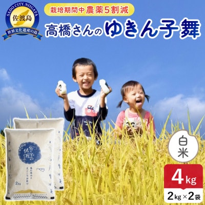 令和7年産 佐渡島産ゆきん子舞 白米4kg 栽培期間中農薬5割減 【食の宝島佐渡】