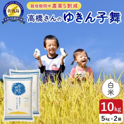 令和7年産 佐渡島産ゆきん子舞 白米10kg 栽培期間中農薬5割減 【食の宝島佐渡】