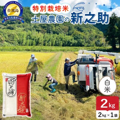 令和7年産 佐渡島産 新之助 白米2kg 土屋農園 栽培期間中農薬・化学肥料5割減