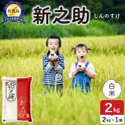 令和7年産 佐渡島産 新之助 白米2kg【食の宝島佐渡】