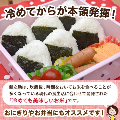 令和7年産 佐渡島産 新之助 白米4kg【食の宝島佐渡】