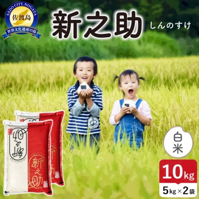 令和7年産 佐渡島産 新之助 白米10kg【食の宝島佐渡】