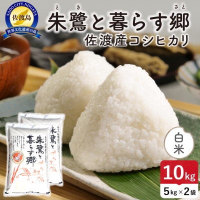 令和7年産 佐渡島産コシヒカリ「朱鷺と暮らす郷」白米10kg 特別栽培米【食の宝島佐渡】