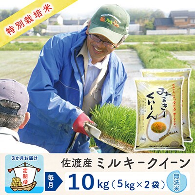 【毎月定期便】佐渡島産ミルキークイーン 無洗米10Kg 特別栽培米 【令和5年産】全3回