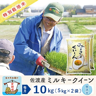 【毎月定期便】佐渡島産ミルキークイーン 無洗米10kg 特別栽培米 【令和5年産】全6回
