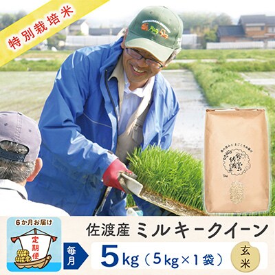 【毎月定期便】佐渡島産ミルキークイーン 玄米5kg 特別栽培米 【令和5年産】全6回