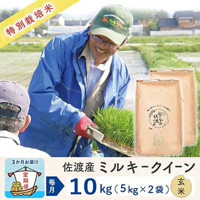 【毎月定期便】佐渡島産ミルキークイーン 玄米10kg 特別栽培米 【令和5年産】全3回