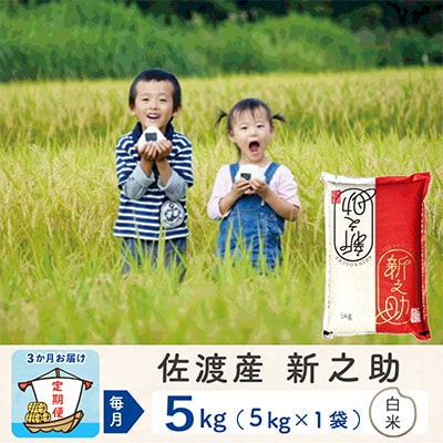 【毎月定期便】佐渡島産新之助 白米5kg【令和5年産】全3回