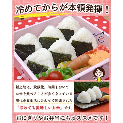 【毎月定期便】佐渡島産新之助 白米5kg【令和5年産】全3回